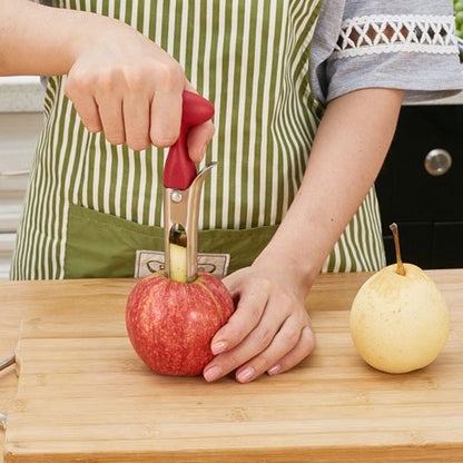 Vide pomme retire trognon de la pomme